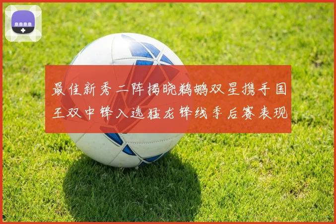 最佳新秀二阵揭晓鹈鹕双星携手国王双中锋入选猛龙锋线季后赛表现抢眼