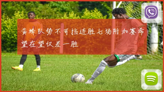 黄蜂队势不可挡连胜七场附加赛希望在望仅差一胜