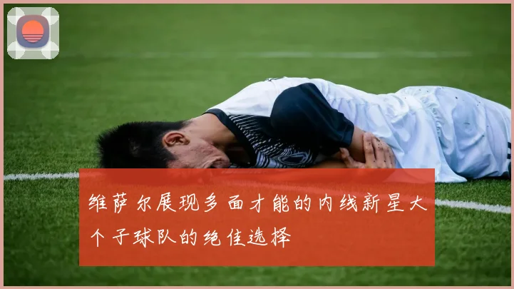 维萨尔展现多面才能的内线新星大个子球队的绝佳选择